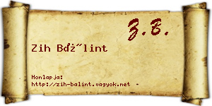 Zih Bálint névjegykártya